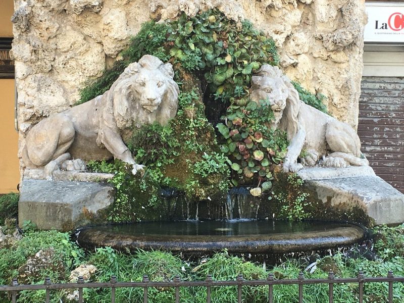 fontana-dei-due-leoni